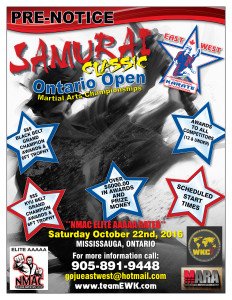 Samurai Classic